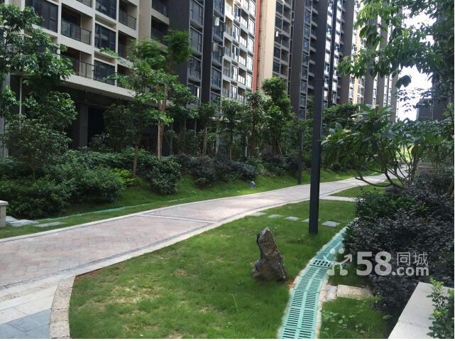 百丽名苑新房出租价格1300元深圳第二外国语学校旁大水坑村