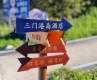 ŵԼ