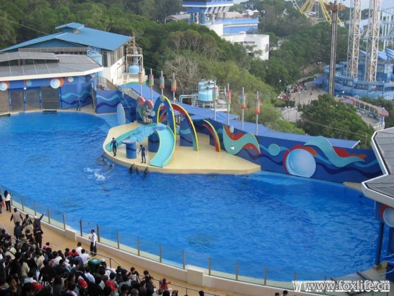 20110119181421438.jpg
