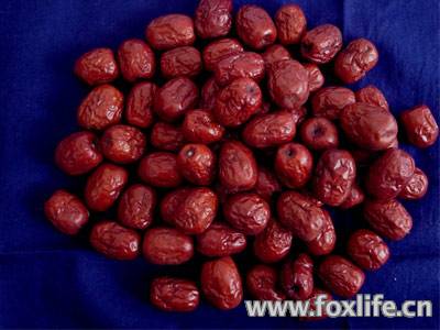 ���ݽ�˿С��