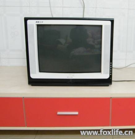 19�����Ƶ���