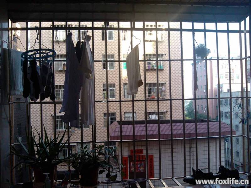IMG_20120410_072108.jpg