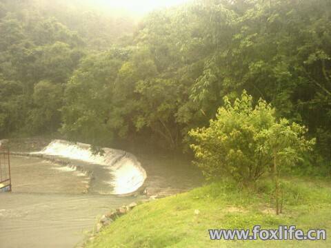 IMG20120526134732.jpg
