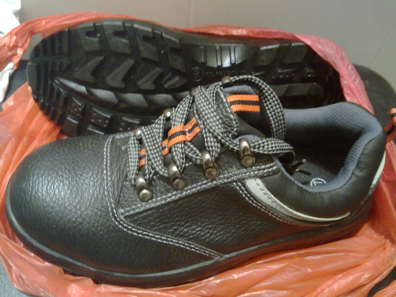 39ȫ¹˾ȫЬ˴39--ѳ