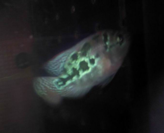 δĵ2012-08-02 20.26.34.jpg