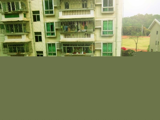 C1.jpg