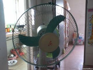 2013-05-20 12.34.37.jpg