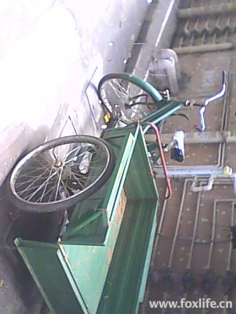 ֳ.jpg