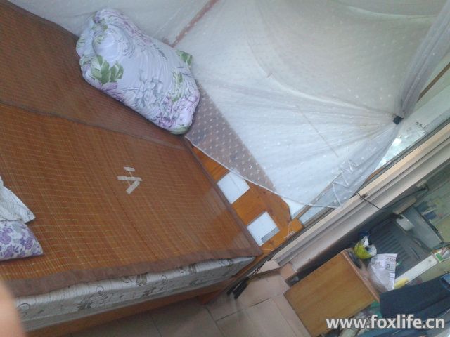 ȫʵľ1.5+棺210Ԫԭۣ200棺850