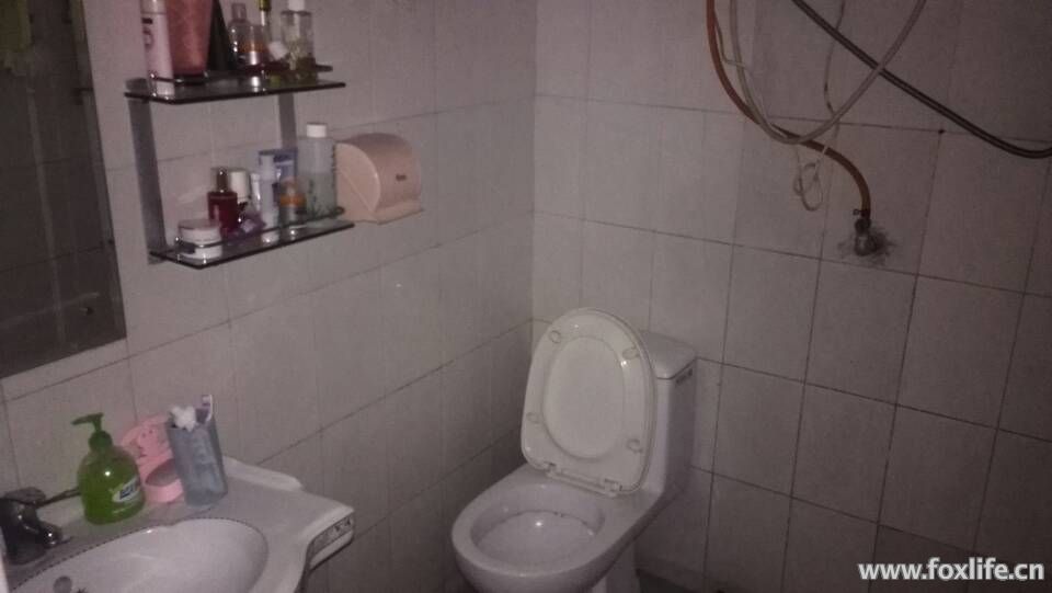 .jpg
