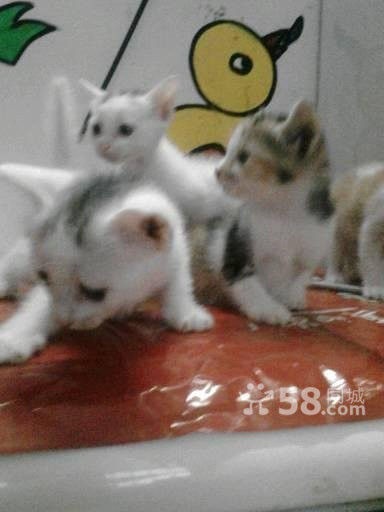 n_s02510872630087712156 (1).jpg