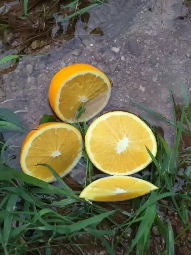 ʵչʾ